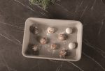 BERLIN H. OBLONG ROASTER 40X28CM SAHARA COLLECTION BH/7658 - Image 2